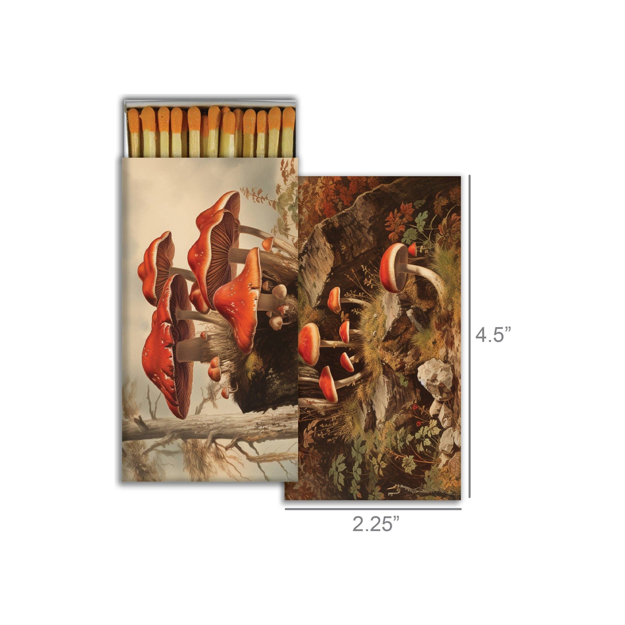 Matches - Fall Mushrooms