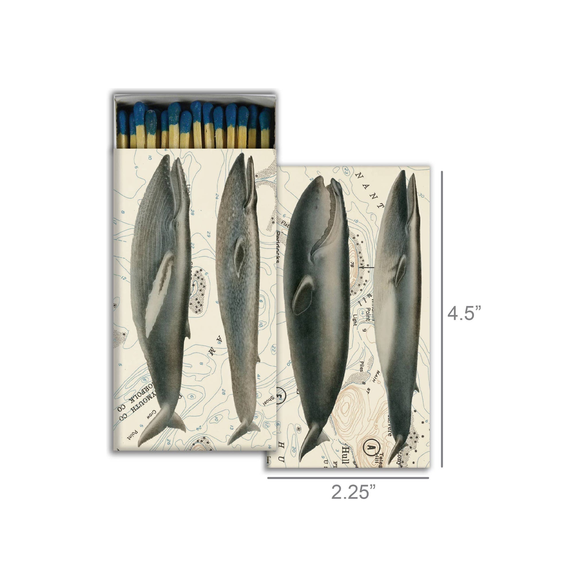Whales Matches