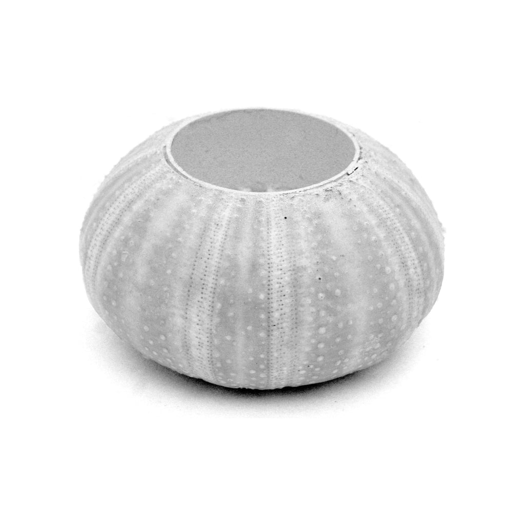 Sea Urchin Tealight Candle Holder