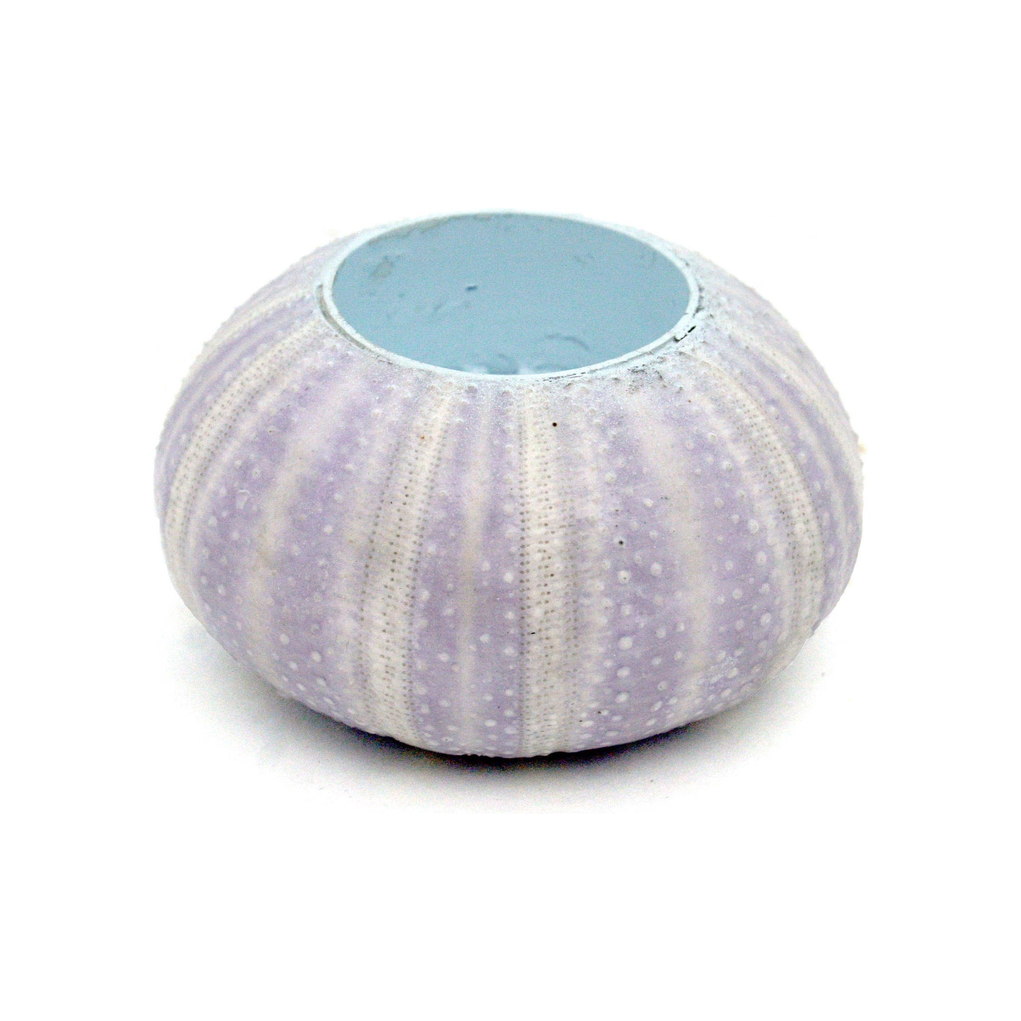 Sea Urchin Tealight Candle Holder