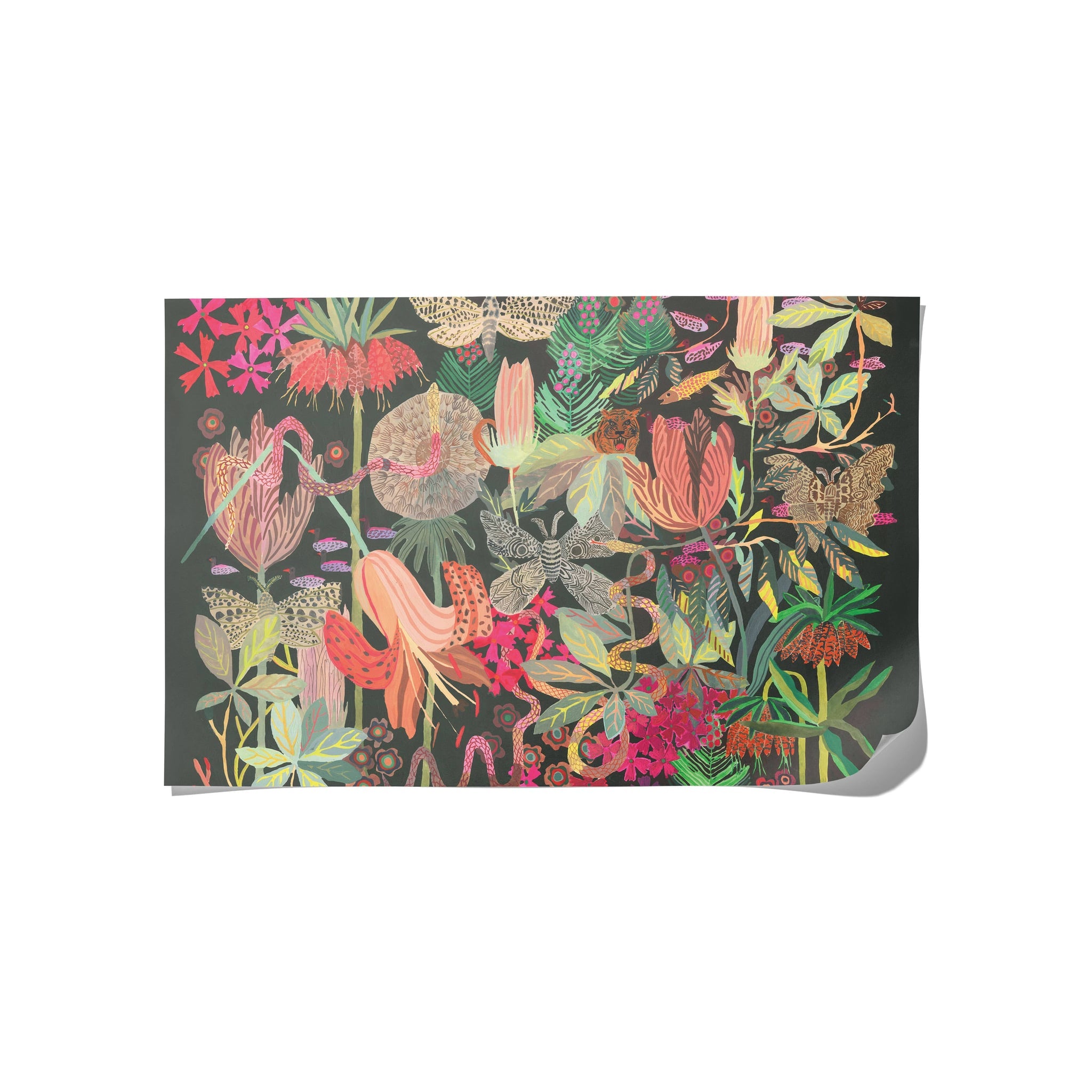 Wild Kingdom Wrapping Paper