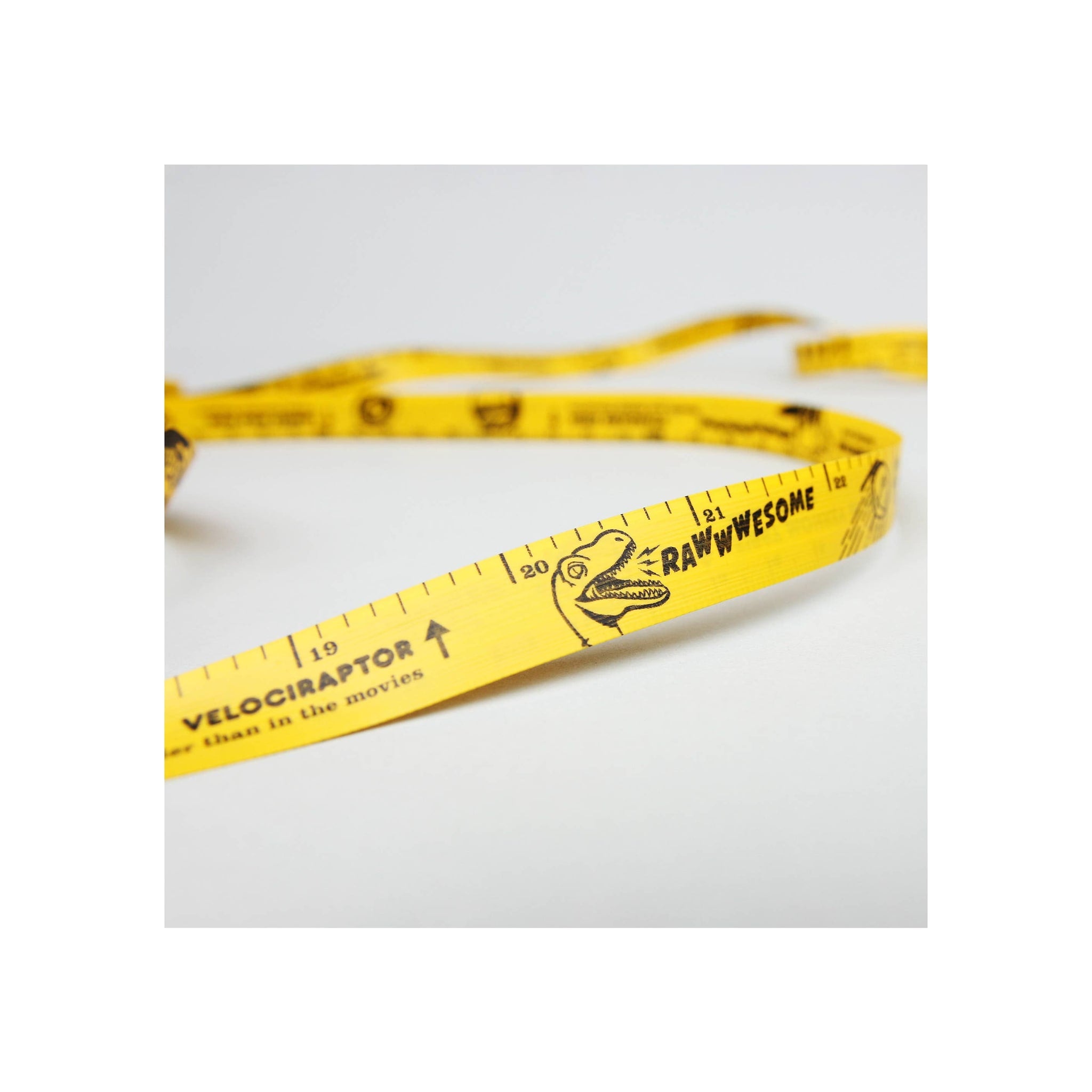 10ft Of Facts Tape Measure