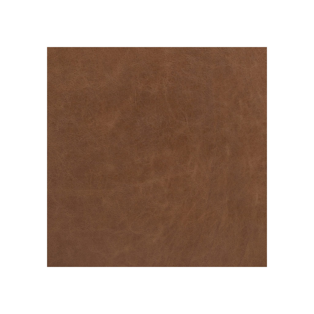 Alec Sofa upholstery close-up, tan brown distressed leather texture, flat fill