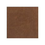 Alec Sofa upholstery close-up, tan brown distressed leather texture, flat fill