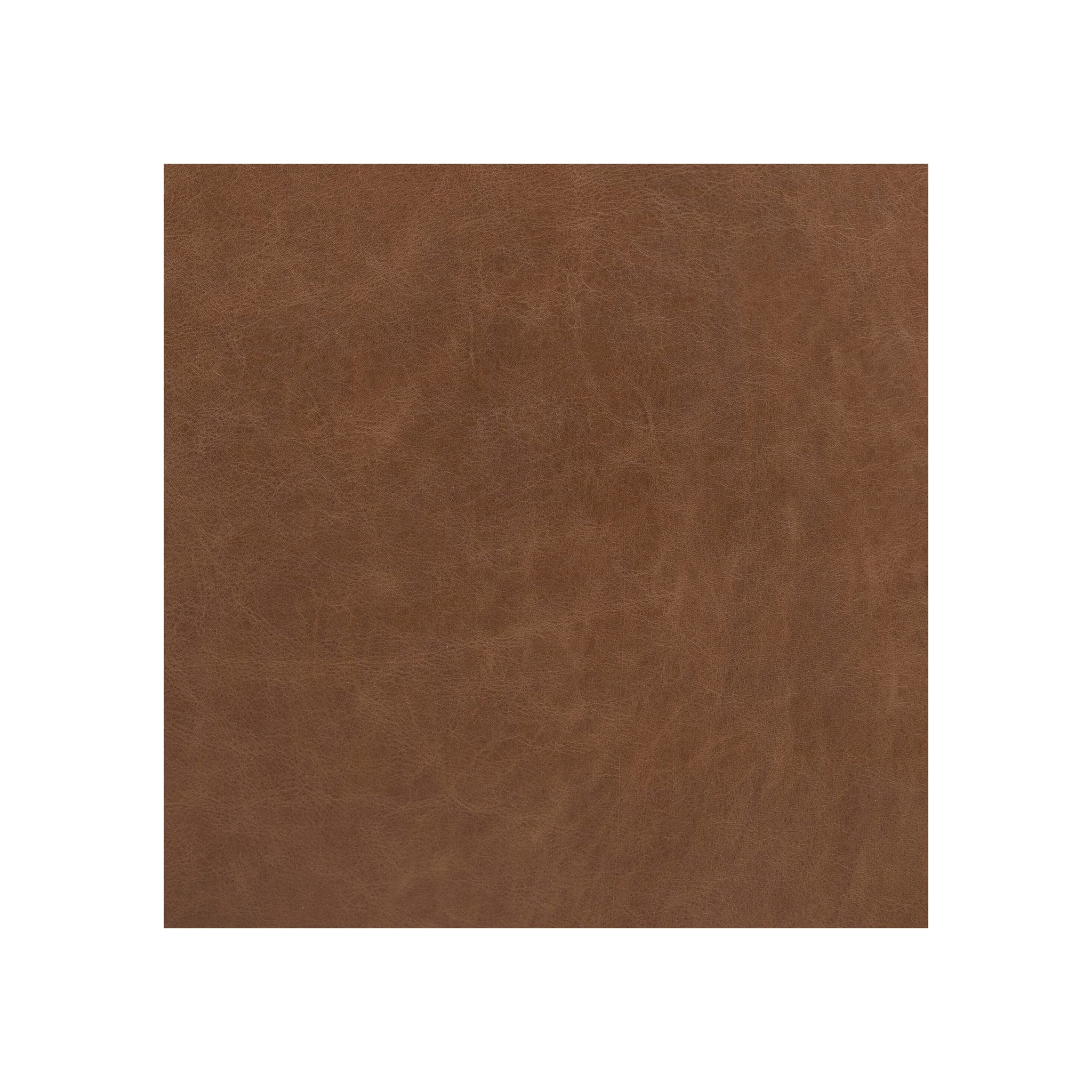 Alec Sofa upholstery close-up, tan brown distressed leather texture, flat fill