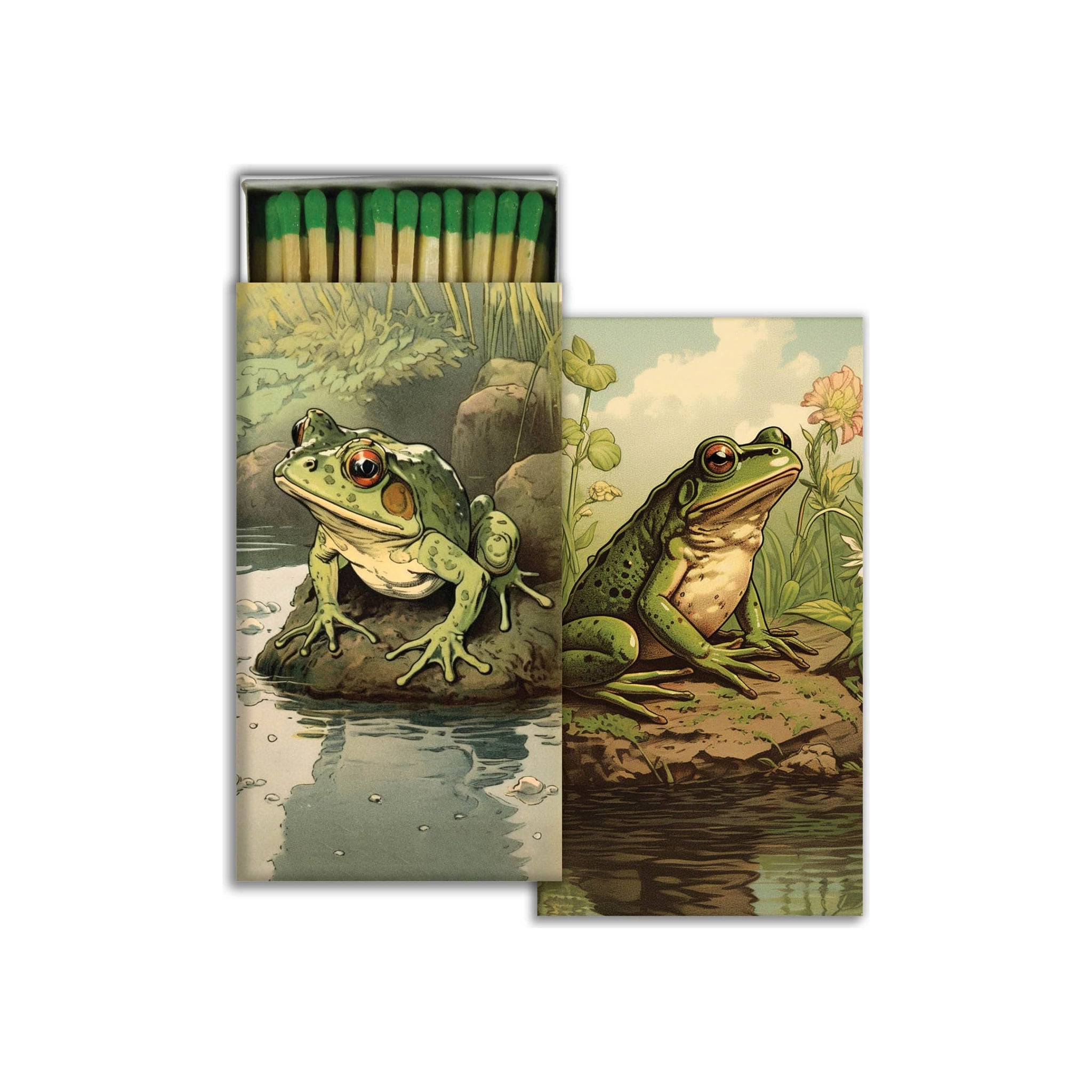 Match - Vibrant Toads