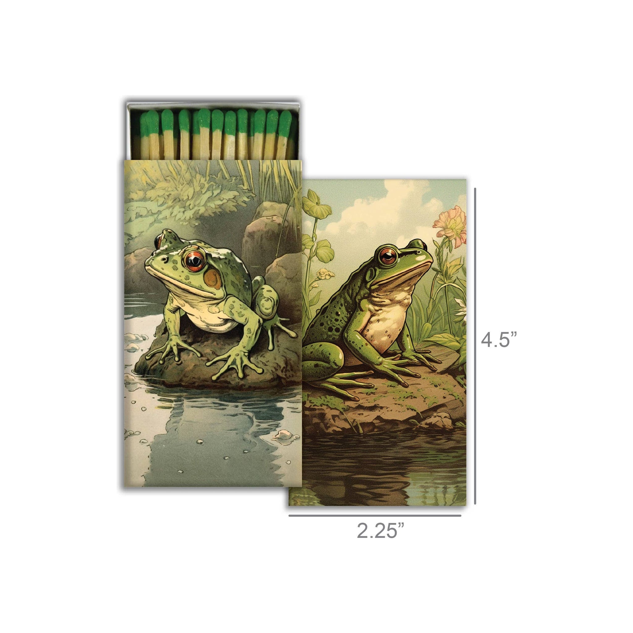 Match - Vibrant Toads