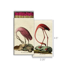 Matchbox set with vintage botanical bird illustrations, open box showing pink-tipped matches, cream background