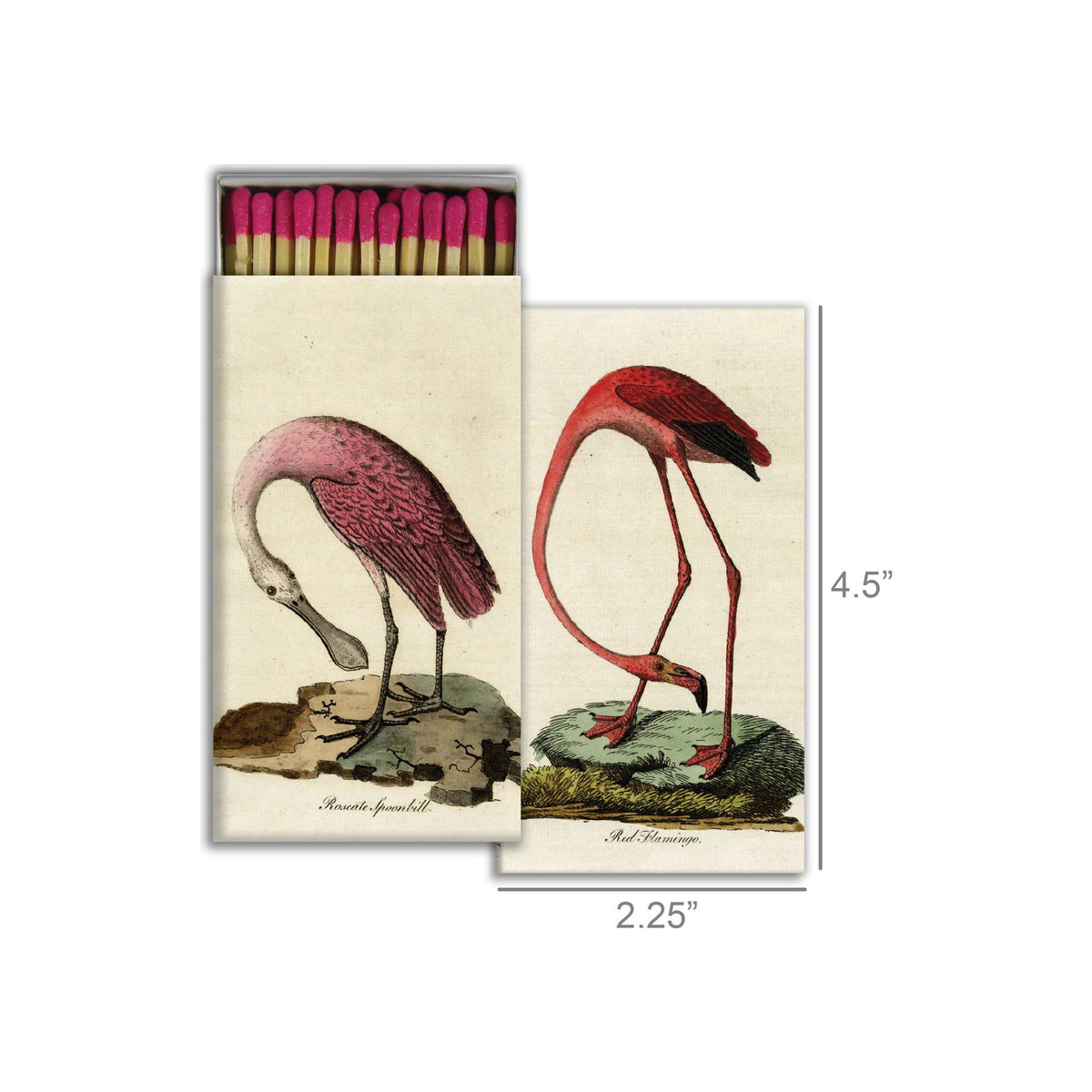 Matchbox set with vintage botanical bird illustrations, open box showing pink-tipped matches, cream background