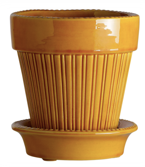 Simona Pot + Saucer