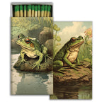 Match - Vibrant Toads