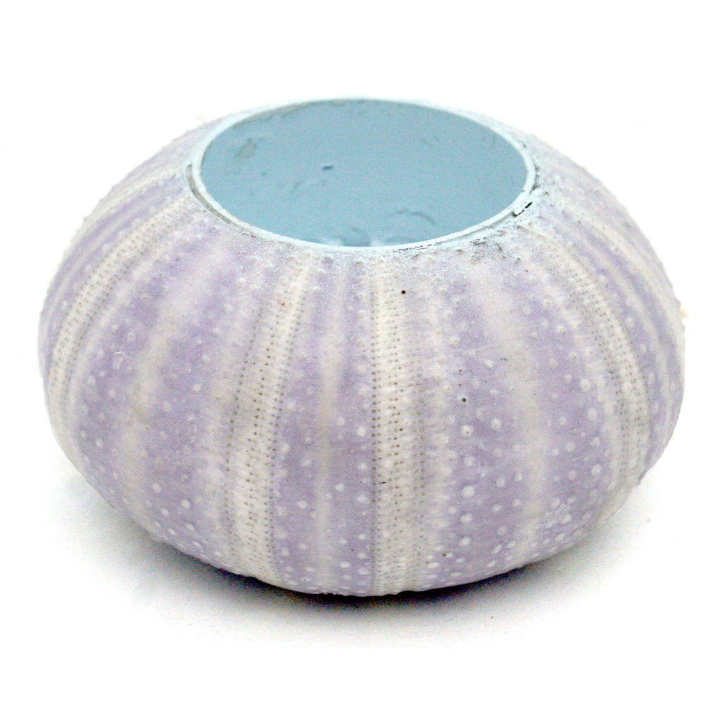 Sea Urchin Tealight Candle Holder