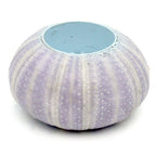 Sea Urchin Tealight Candle Holder