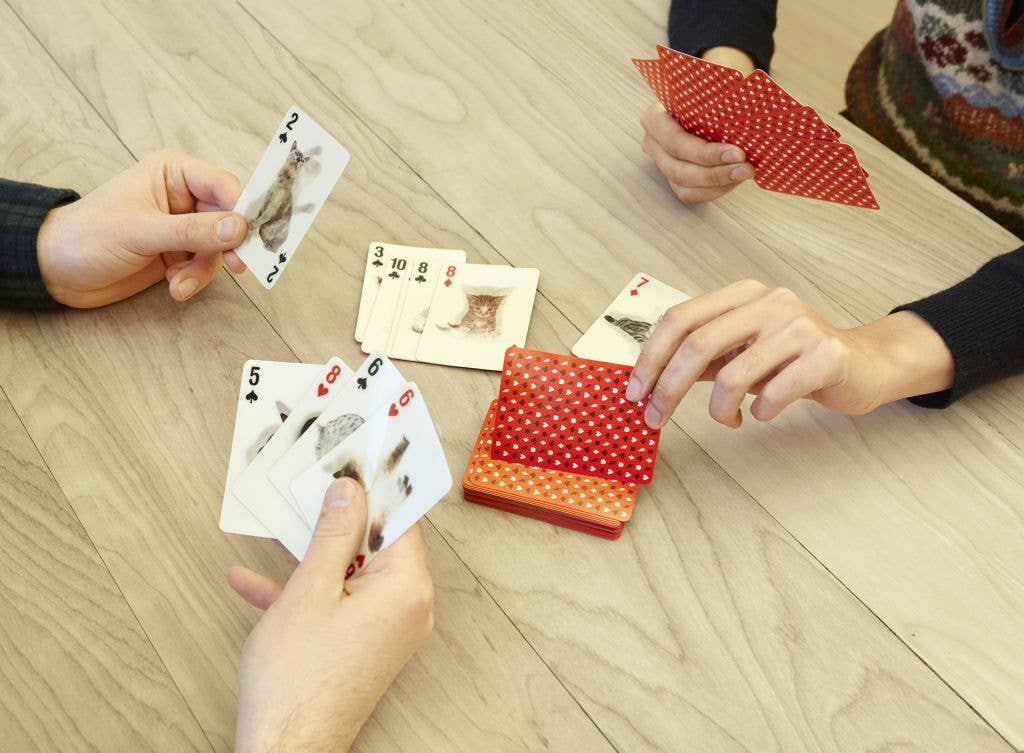 Lenticular Cats Playing Cards