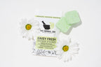 Botanical Shower Steamer Minis 2-Pack | Spa Aromatherapy