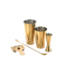 Barfly M37101 Basics Cocktail Set, 5-piece, Gold