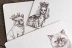 Royal French Bulldog A6 Notes