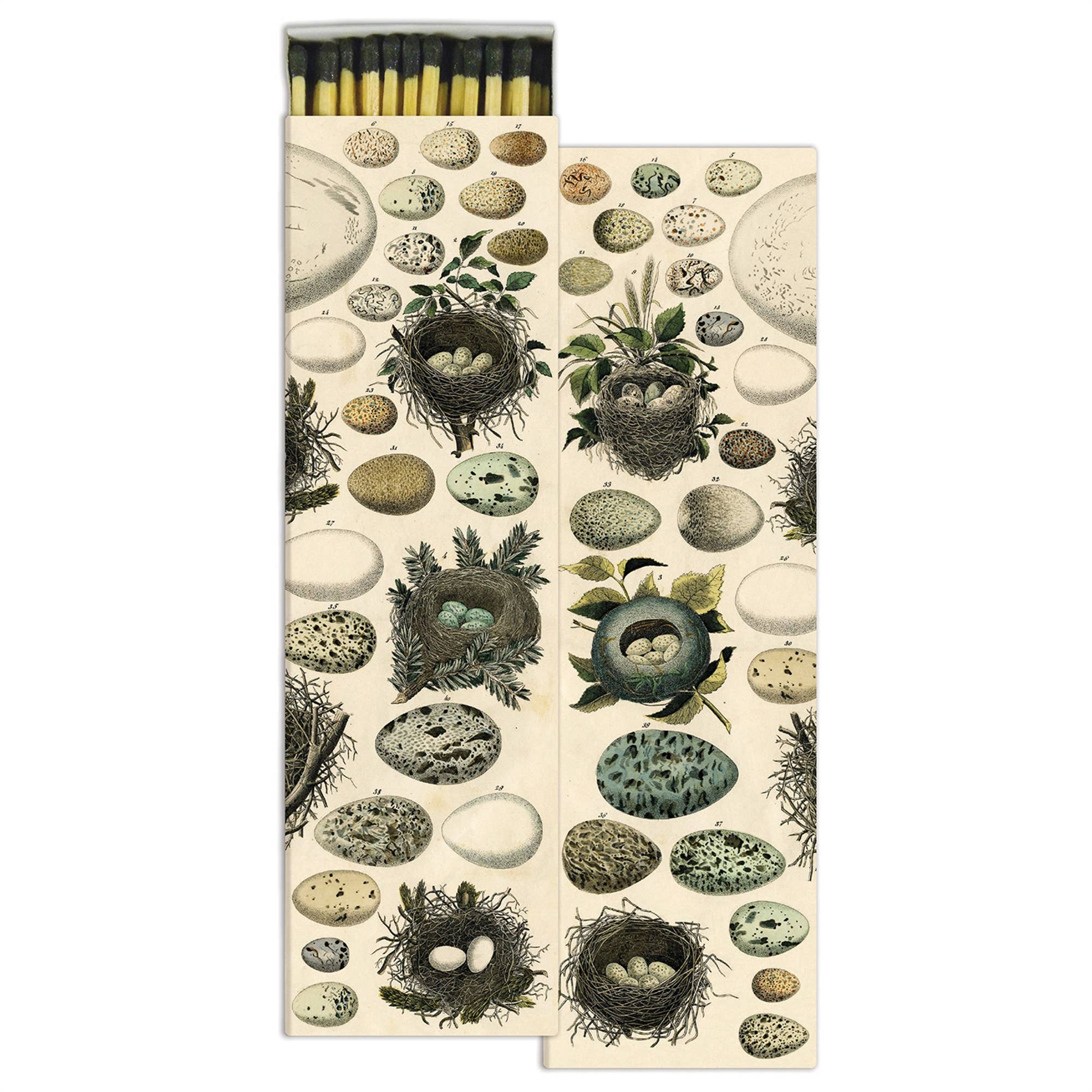 Nest & Eggs Matches