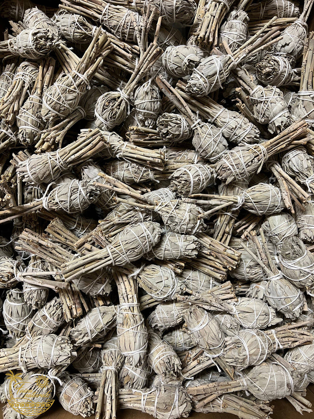 White Sage Torch