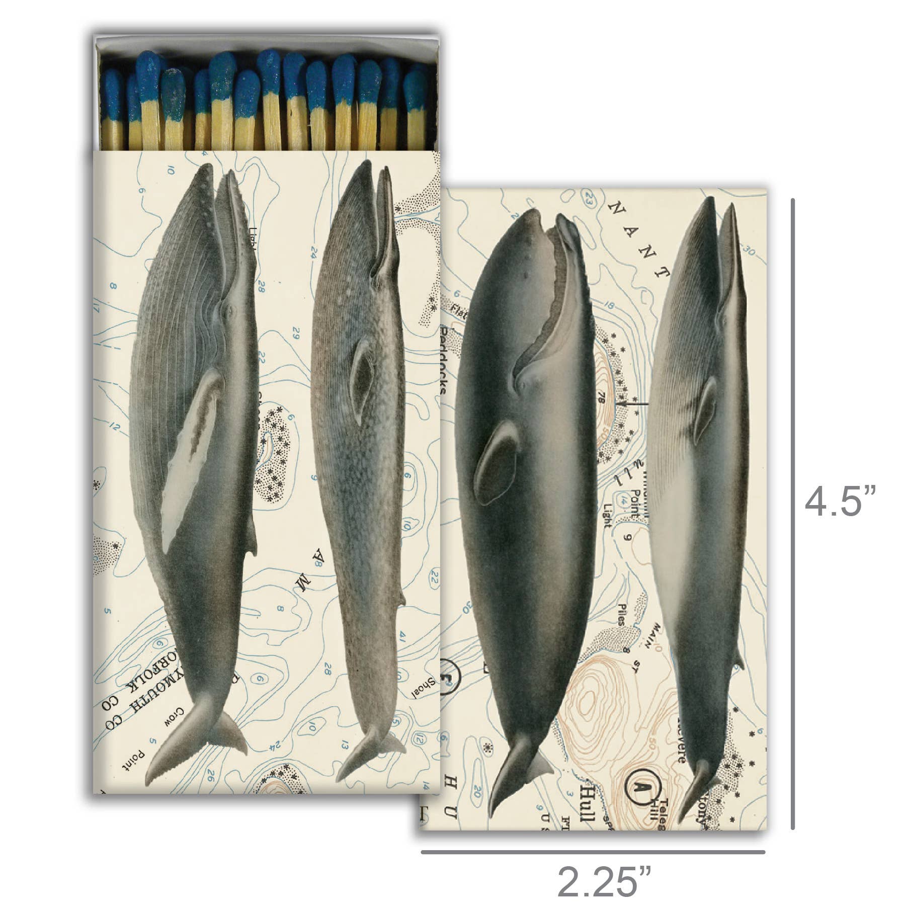 Whales Matches