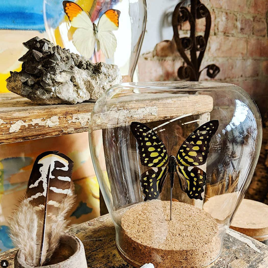Spotted Hopper Globe