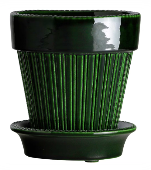 Simona Pot + Saucer