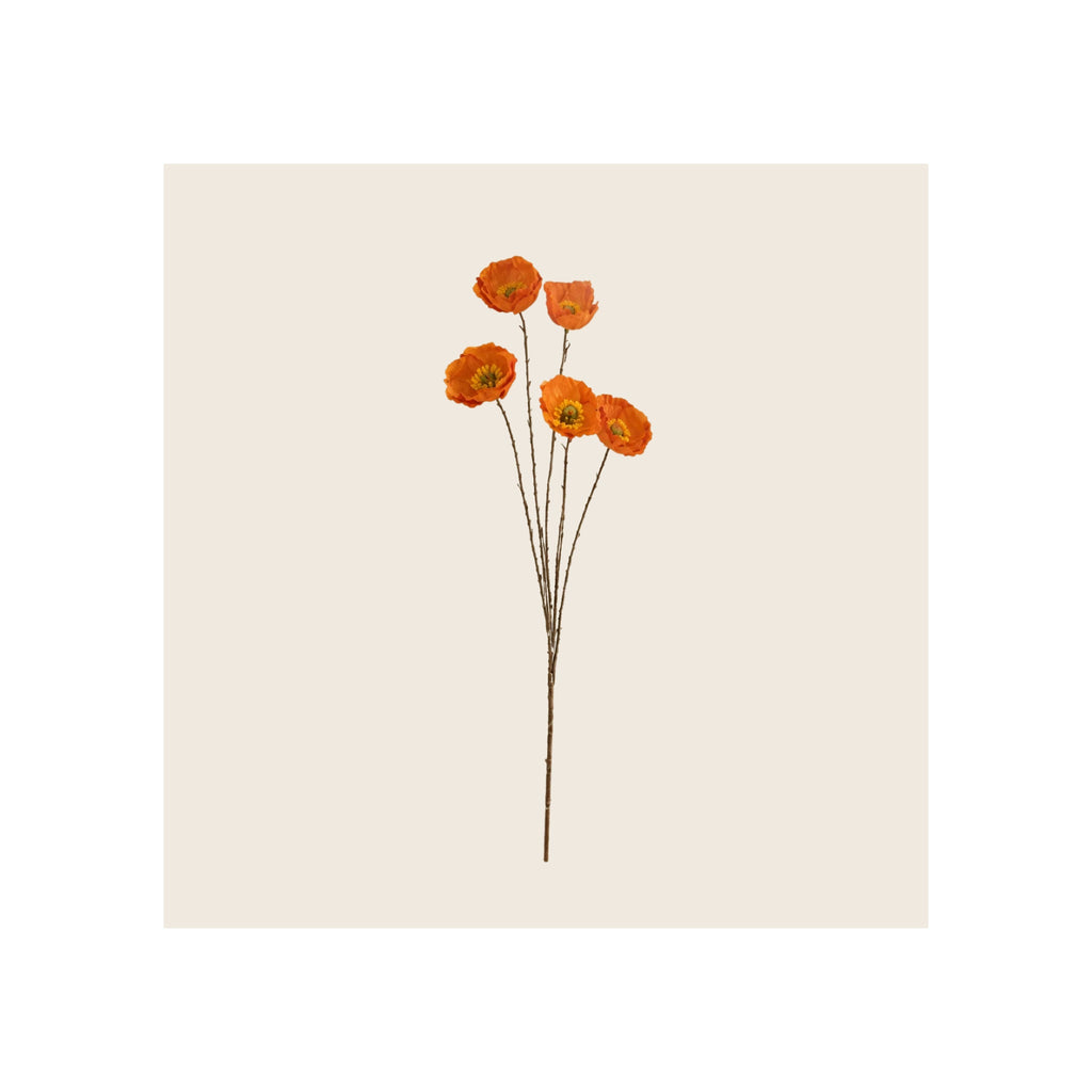 Poppy spray with five open orange blooms on dark branching stems