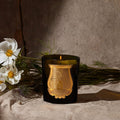 Trudon