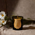 Trudon