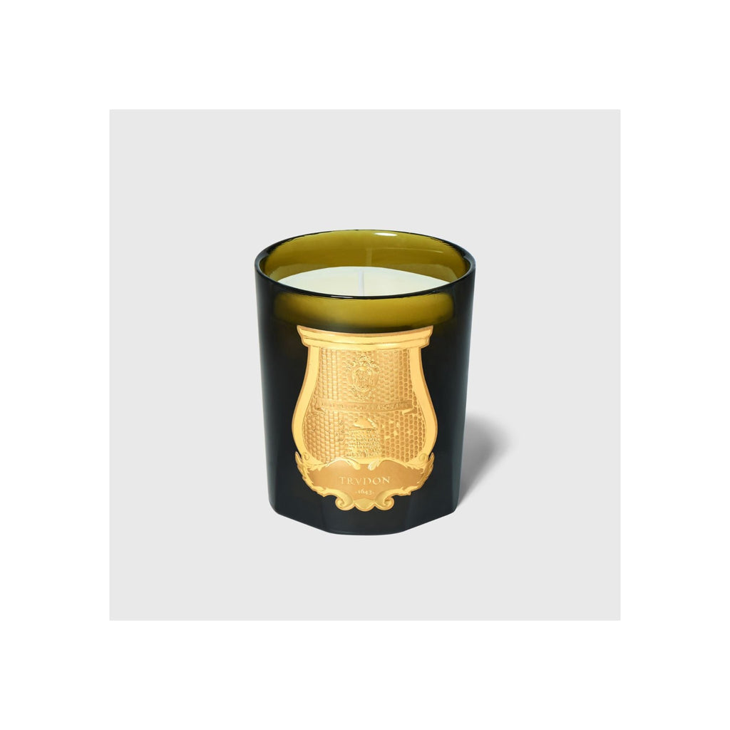 Trudon